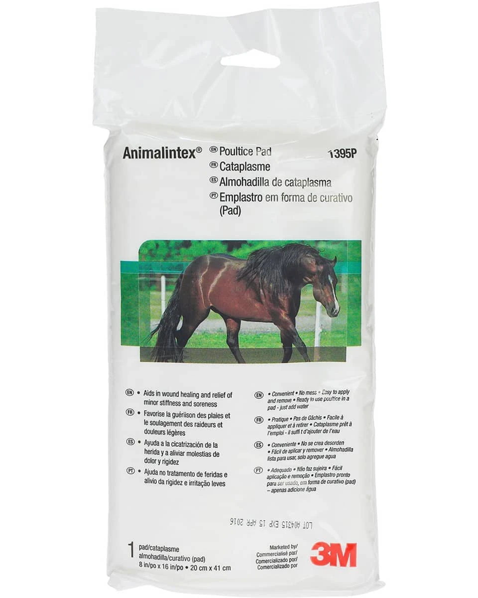 3M Animalintex Poultice 1 3M Animalintex Poultice