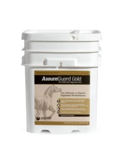 Assure Guard Gold