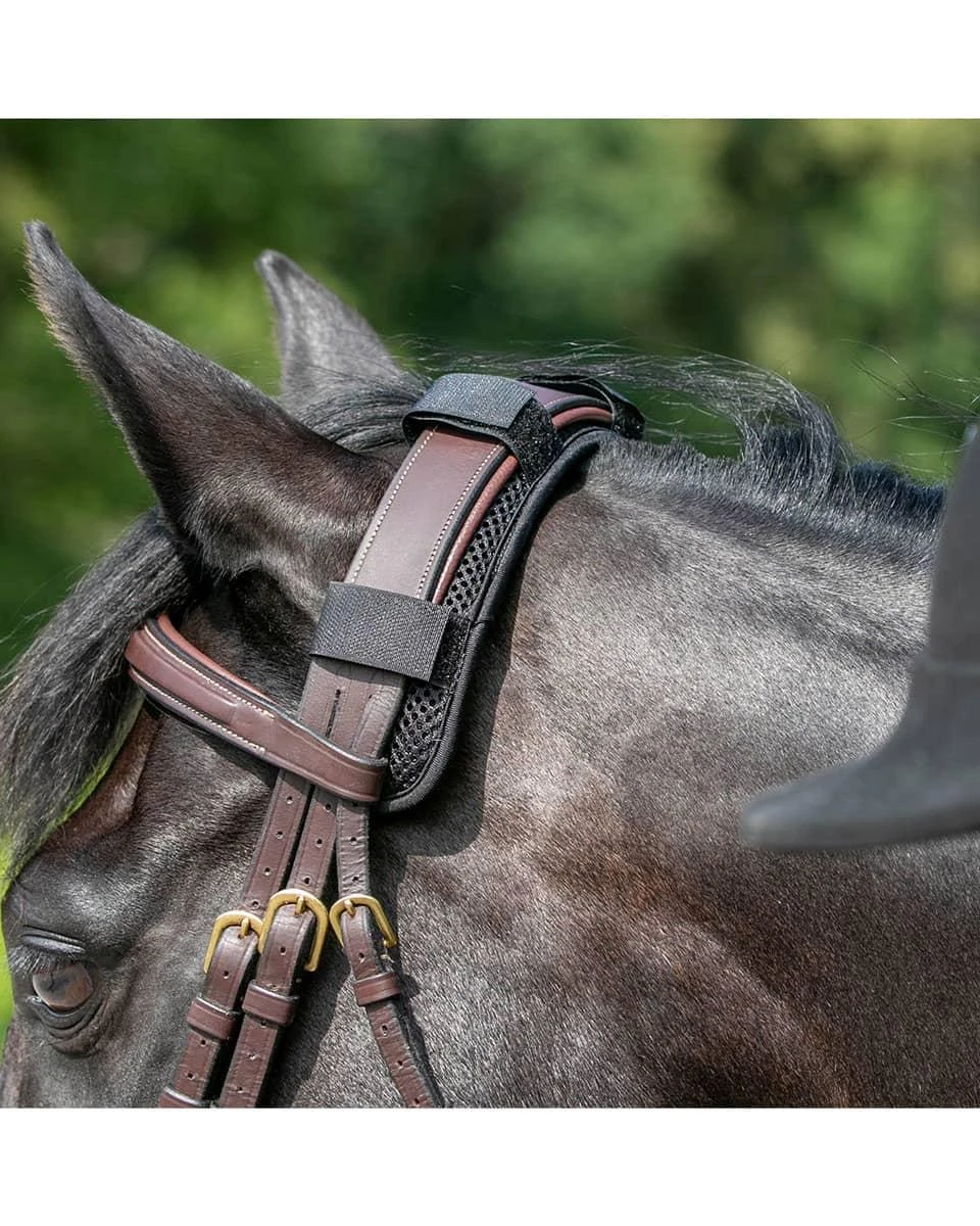 Back On Track Poll Cover- Black 4 Back On Track Poll Cover- Black - Image 4