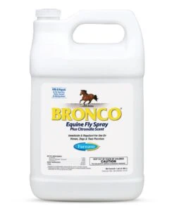 Bronco