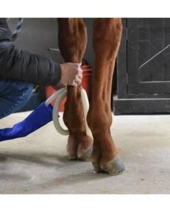 MagnaWave Butterfly Loop 5 MagnaWave Butterfly Loop -Horse Care Supplies Store Butterfly Loop media 3