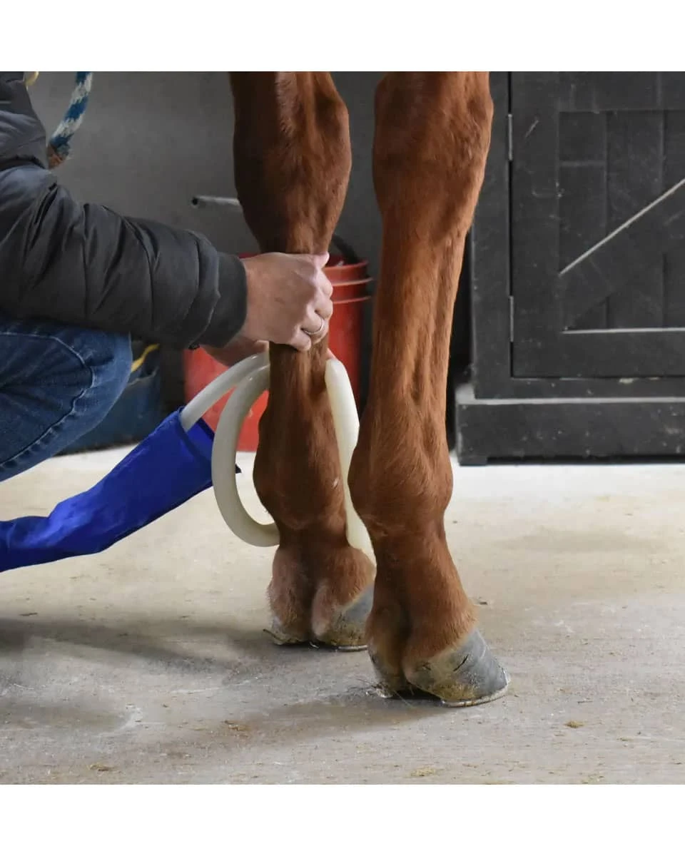 MagnaWave Butterfly Loop 3 MagnaWave Butterfly Loop - Image 3