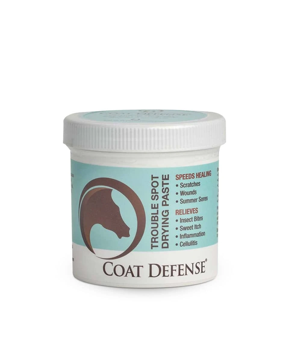 Coat Defense Trouble Spot Drying Paste 2 Coat Defense Trouble Spot Drying Paste - Image 2
