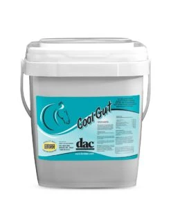 Dac Cool Gut