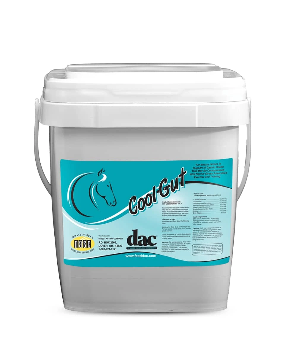 Dac Cool Gut 1 Dac Cool Gut