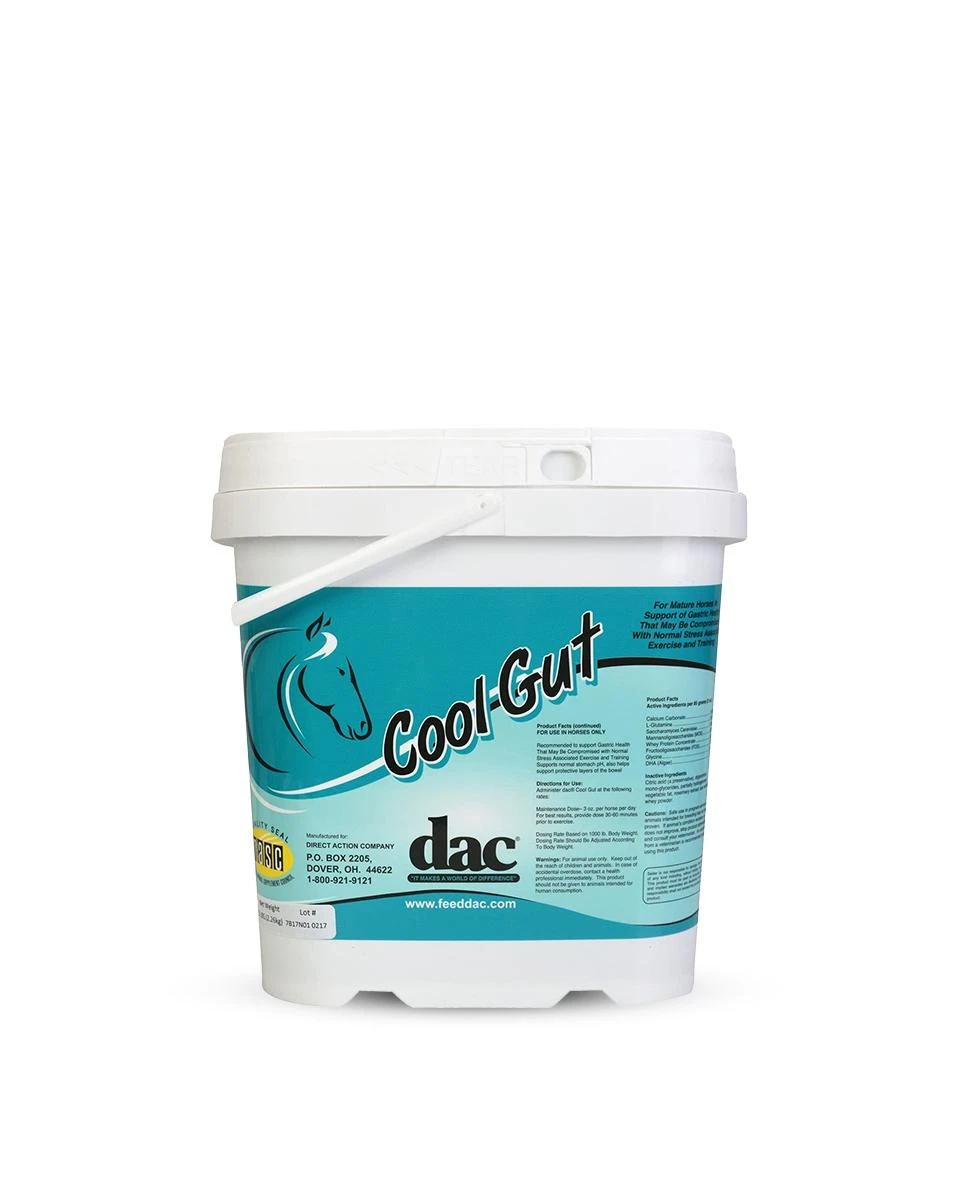 Dac Cool Gut 2 Dac Cool Gut - Image 2