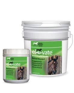 Elevate Maintenance Powder