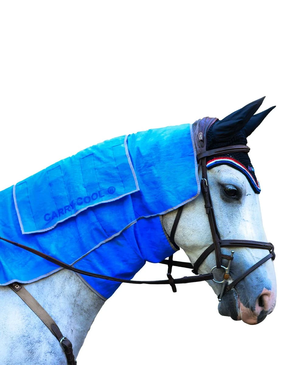 EquiSources Carry-Cool Sport Horse Cooling Kit 1 EquiSources Carry-Cool Sport Horse Cooling Kit