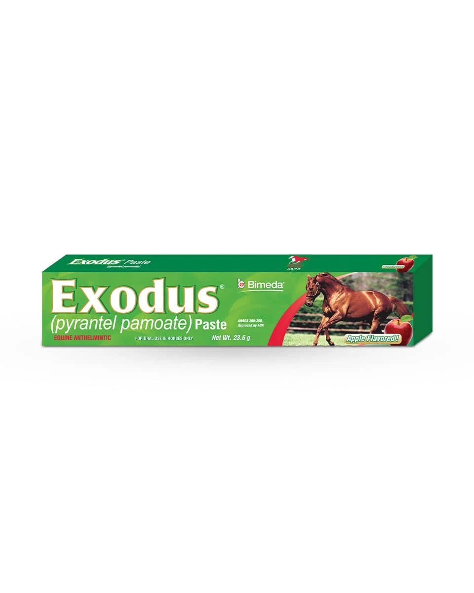 Bimeda Exodus Paste (Pyrantel Pamoate) 1 Bimeda Exodus Paste (Pyrantel Pamoate)