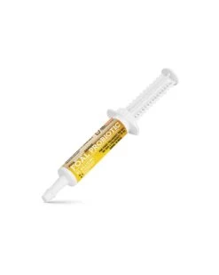FullBucket Foal Probiotic Paste - 1 Tube