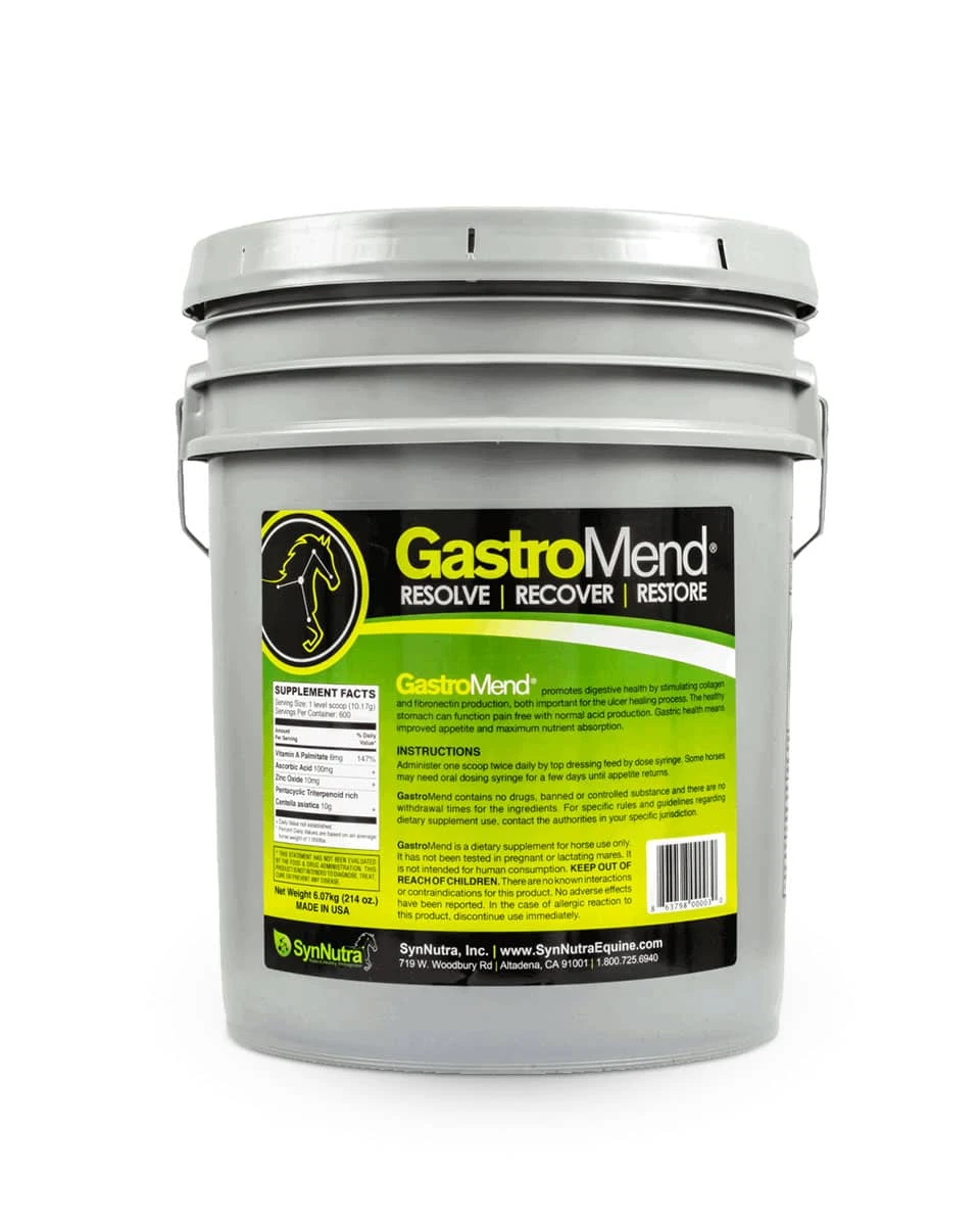 GastroMend 2 GastroMend - Image 2