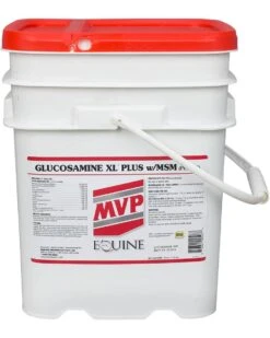 MVP Glucosamine XL Plus With MSM Pellets