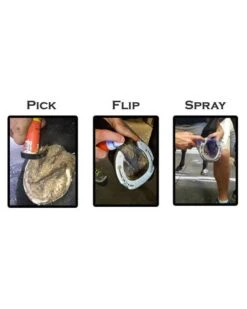 Groom's Hand Thrush Solution -Horse Care Supplies Store Groomshand Thrush solution media 4