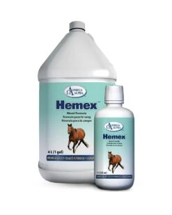 Omega Alpha Hemex