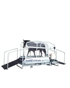 Horse Gym USA Treadmill
