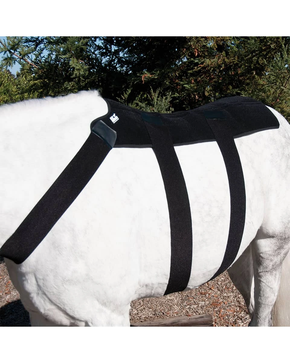 Ice Horse Back Blanket 2 Ice Horse Back Blanket - Image 2