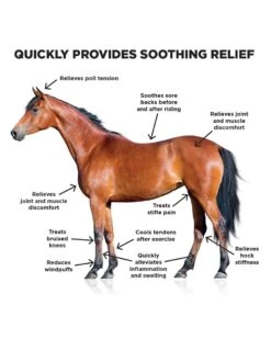 Ice Horse Cooling Liniment -Horse Care Supplies Store Ice Horse Cooling Liniment media 3