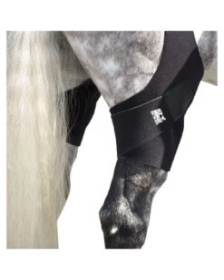 Ice Horse Stifle Wrap - Pair