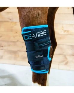 Horseware Ireland Horseware Ice-Vibe Hock Wraps -Horse Care Supplies Store Ice Vibes Hock Wrap media 3