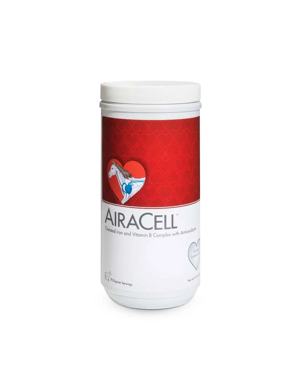 AiraCell Iron & Vitamin B Equine Supplement 1 AiraCell Iron & Vitamin B Equine Supplement