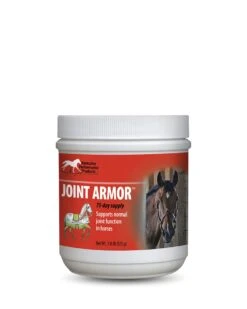 Joint Armor