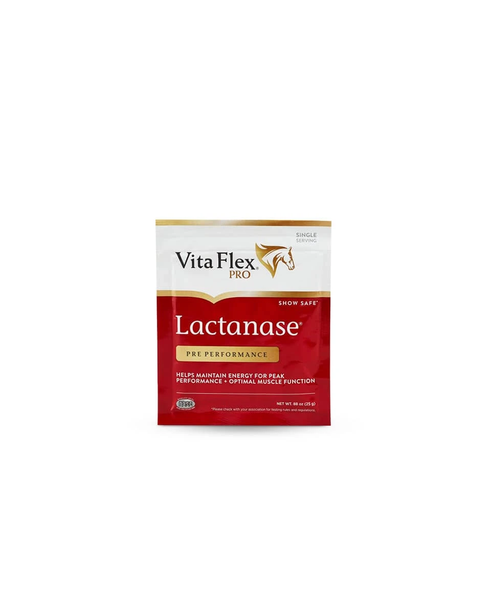 Lactanase 1 Lactanase