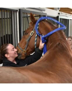 MagnaWave Large Loop 5 MagnaWave Large Loop -Horse Care Supplies Store Large Loop media 3