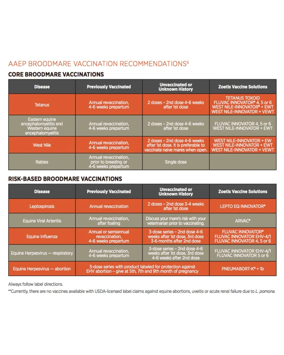 ZOETIS Vaccine - Lepto EQ Innovator 2 ZOETIS Vaccine - Lepto EQ Innovator - Image 2