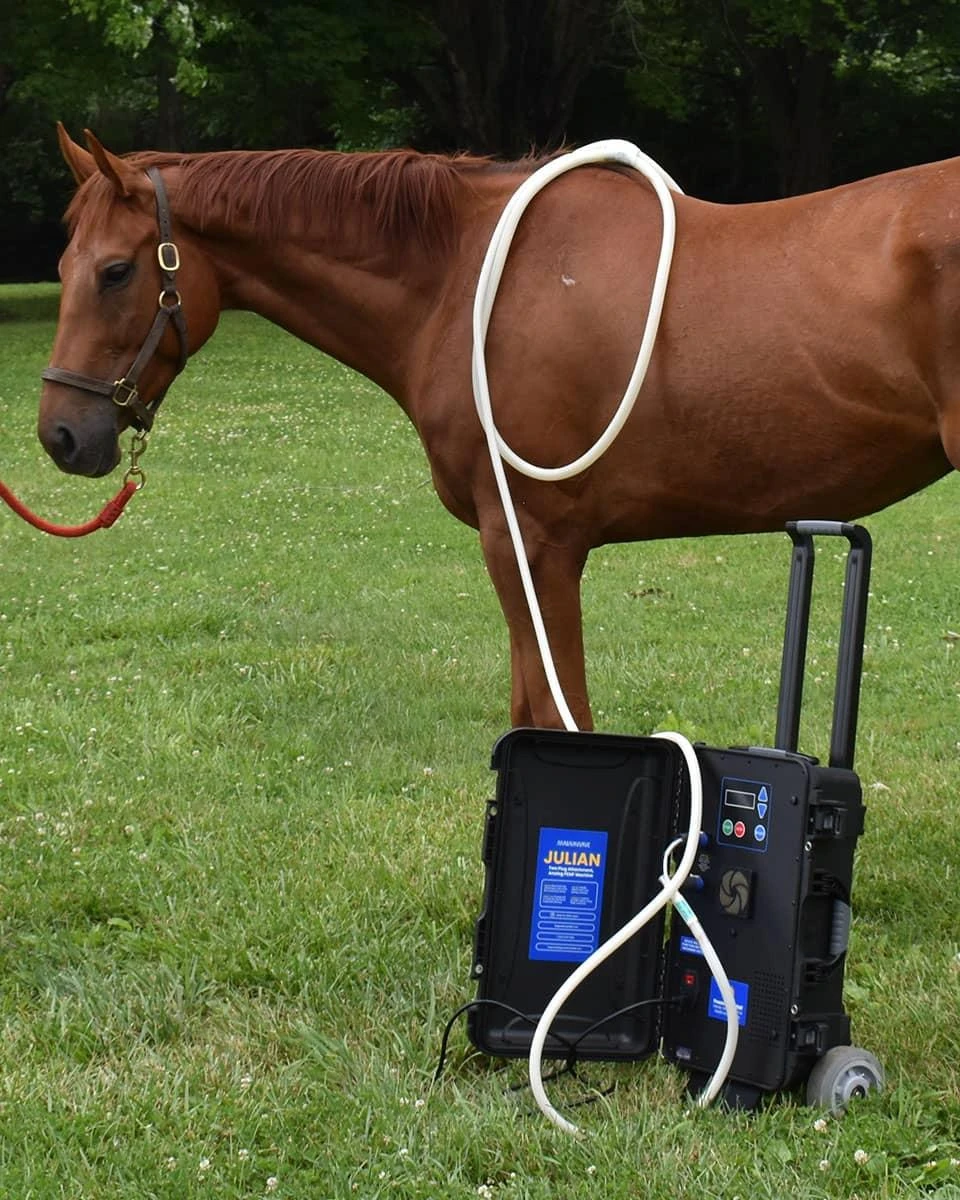 MagnaWave Julian 4 MagnaWave Julian - Image 4