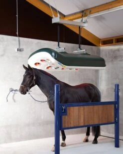 Q-Line MeRcuRR Equine Solarium System -Horse Care Supplies Store MeRcuRR Solarium media 3