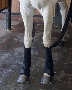 America Cryo Moove Cold Compression Equine Set 9 America Cryo Moove Cold Compression Equine Set -Horse Care Supplies Store Moove Cold Compression media 4