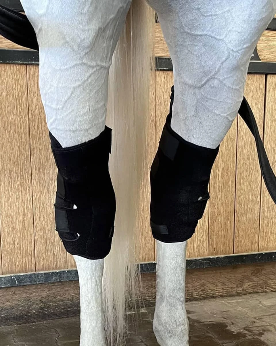 America Cryo Moove Cold Compression Equine Set 6 America Cryo Moove Cold Compression Equine Set - Image 6