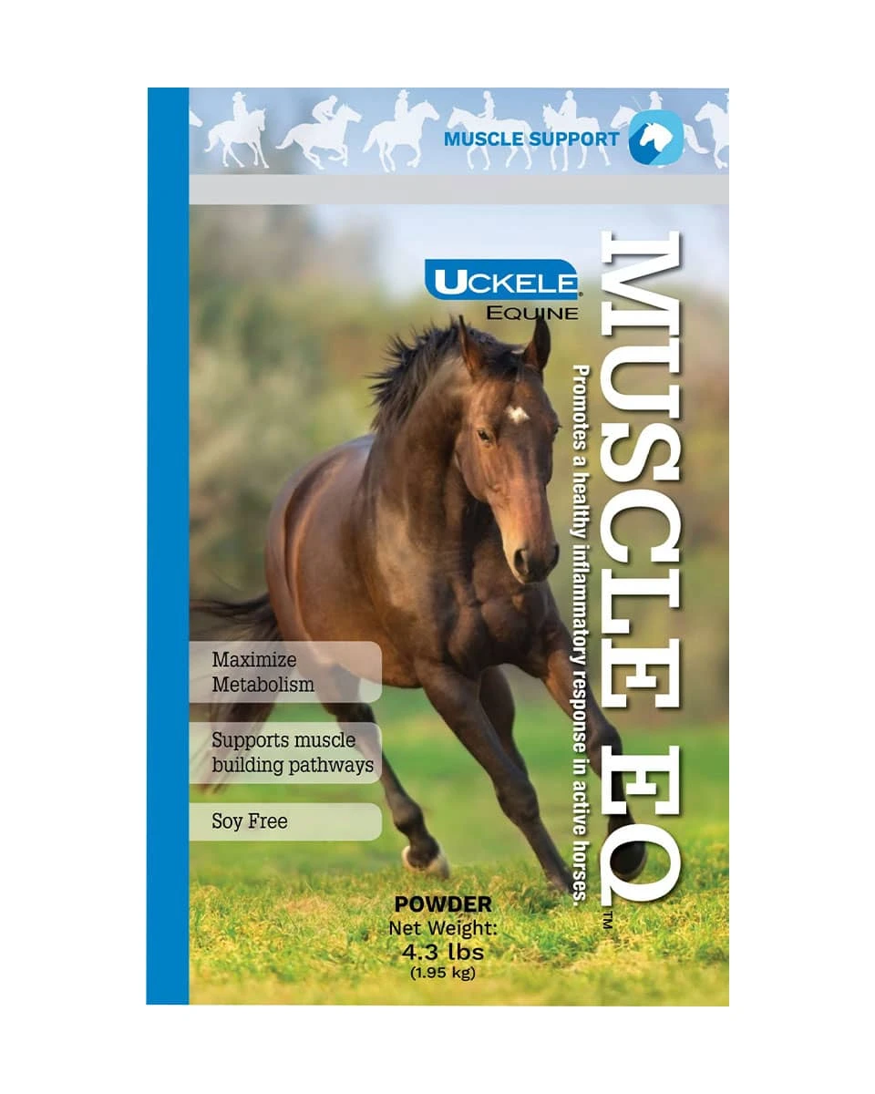 Uckele Muscle EQ Powder 2 Uckele Muscle EQ Powder - Image 2