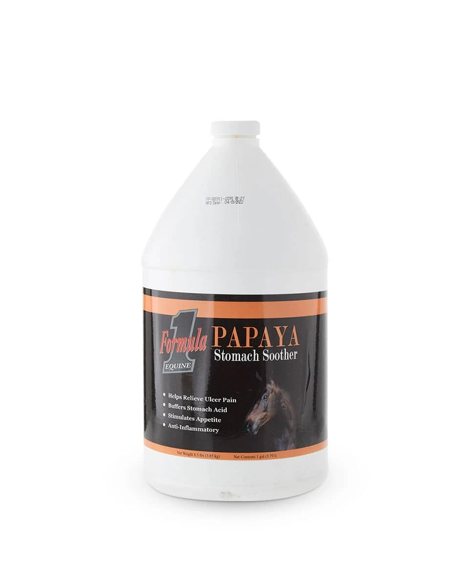 Formula 1 Noni Papaya Stomach Soother 2 Formula 1 Noni Papaya Stomach Soother - Image 2