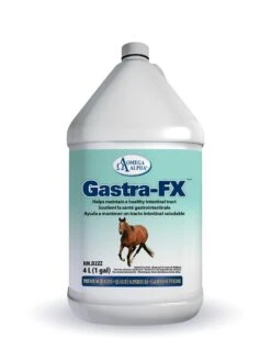 Omega Alpha Gastra-FX