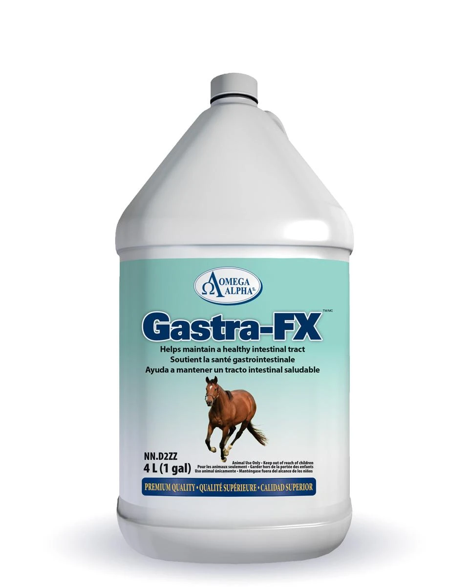 Omega Alpha Gastra-FX 1 Omega Alpha Gastra-FX