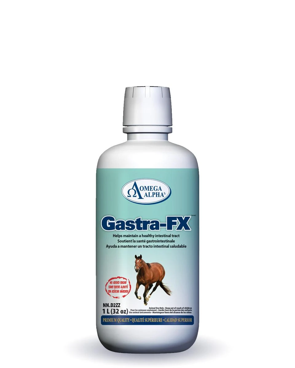 Omega Alpha Gastra-FX 2 Omega Alpha Gastra-FX - Image 2