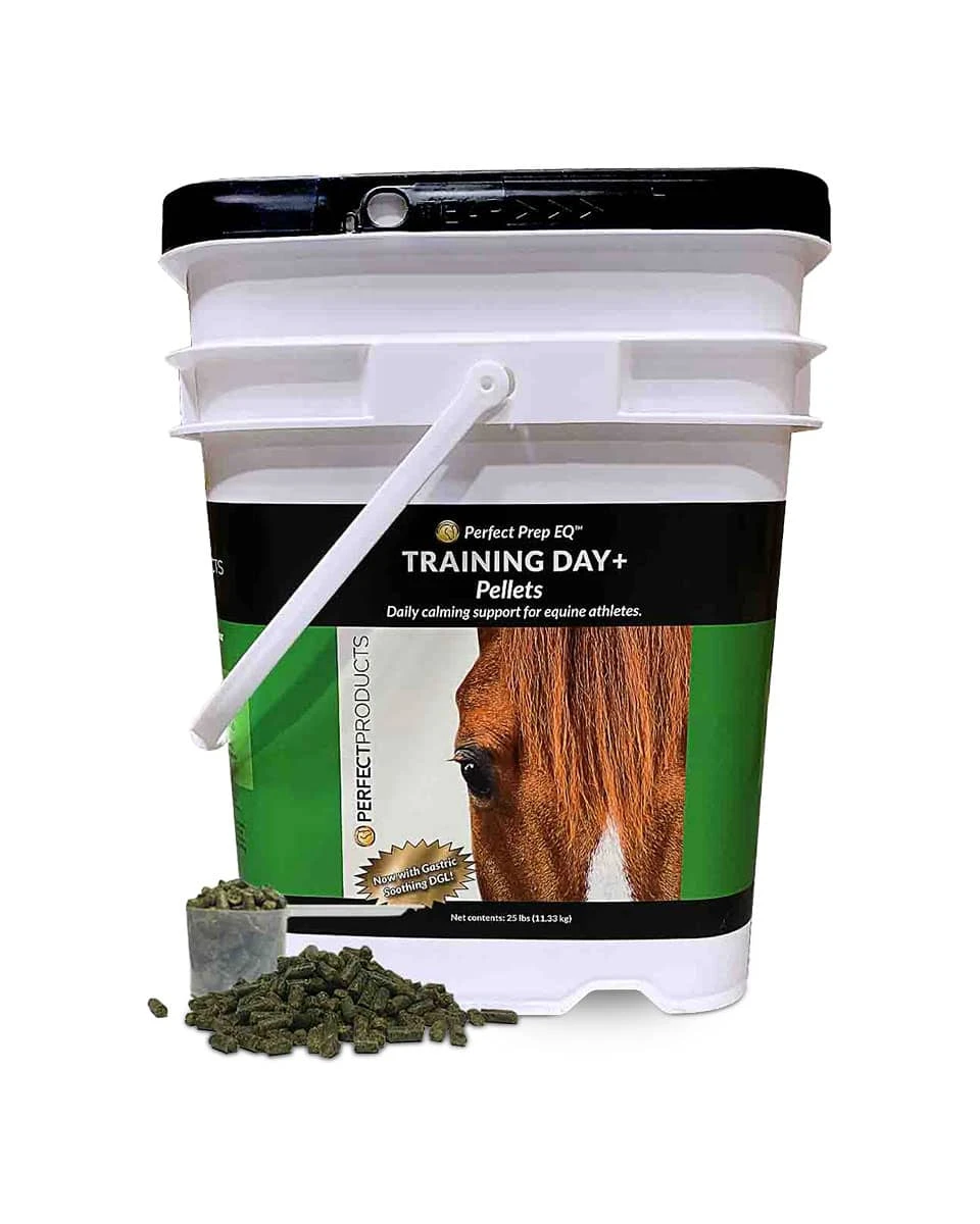 Perfect Prep EQ Training Day Pellets 3 Perfect Prep EQ Training Day Pellets - Image 3