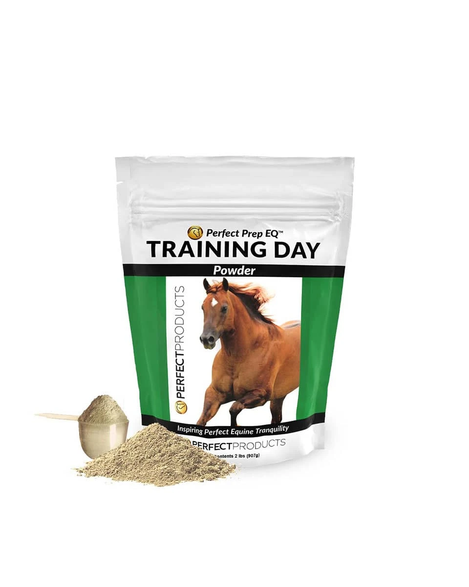 Perfect Prep EQ Training Day 1 Perfect Prep EQ Training Day