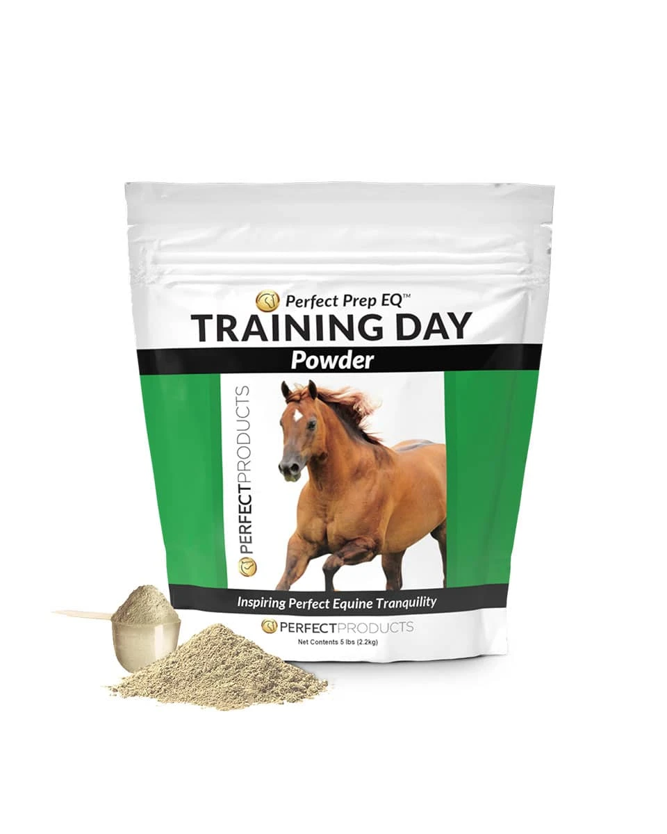 Perfect Prep EQ Training Day 2 Perfect Prep EQ Training Day - Image 2