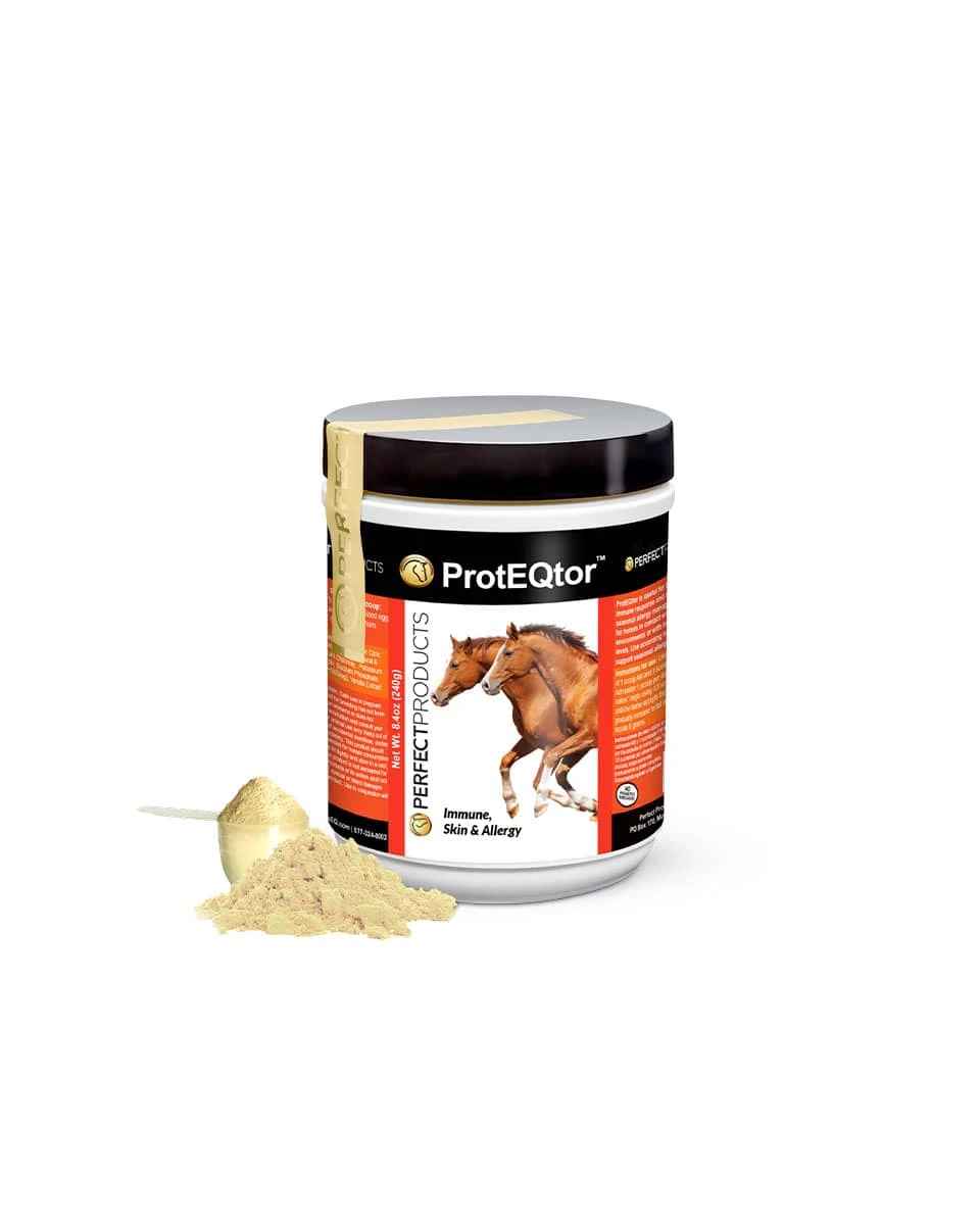 ProtEQtor Powder 1 ProtEQtor Powder