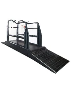 Q-Line Equine Treadmill System