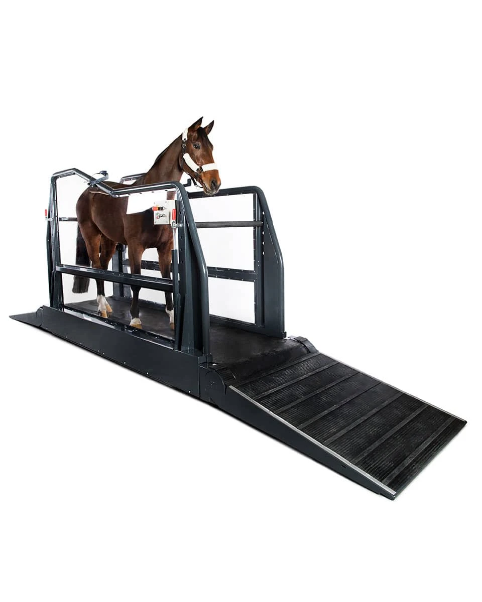 Q-Line Equine Treadmill System 2 Q-Line Equine Treadmill System - Image 2