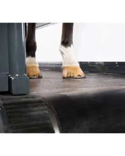 Q-Line Equine Treadmill System 7 Q-Line Equine Treadmill System -Horse Care Supplies Store QLine Treadmill media 3