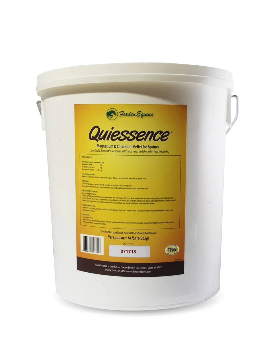 Quiessence 2 Quiessence - Image 2