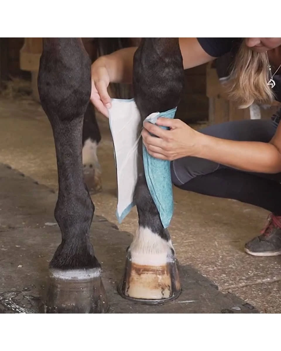 Quinn's Equine Poultice Wraps 2 Quinn's Equine Poultice Wraps - Image 2