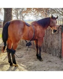 RevitaVet IR2 Complete  -Horse Care Supplies Store RevitaVet IR2 Complete media 4