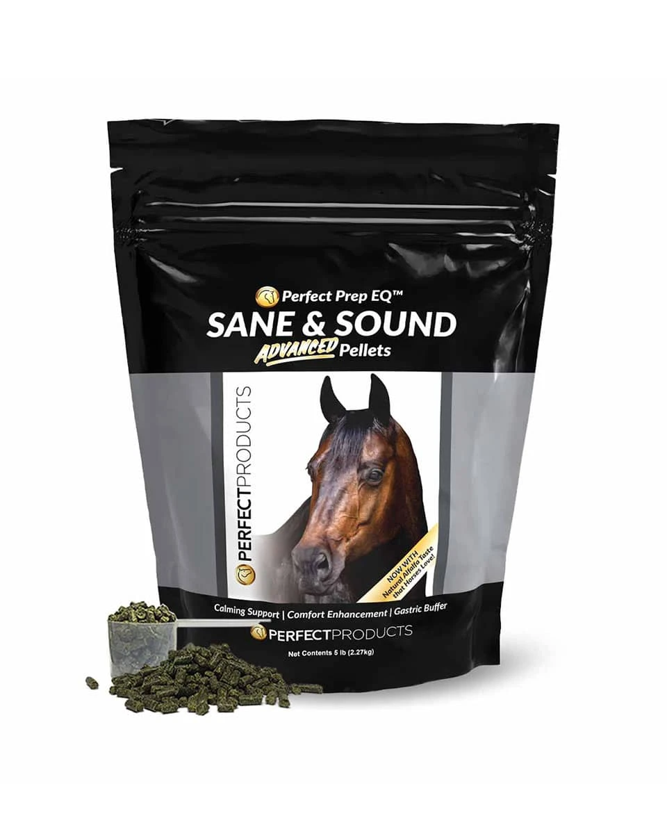 Sane And Sound 2 Sane And Sound - Image 2