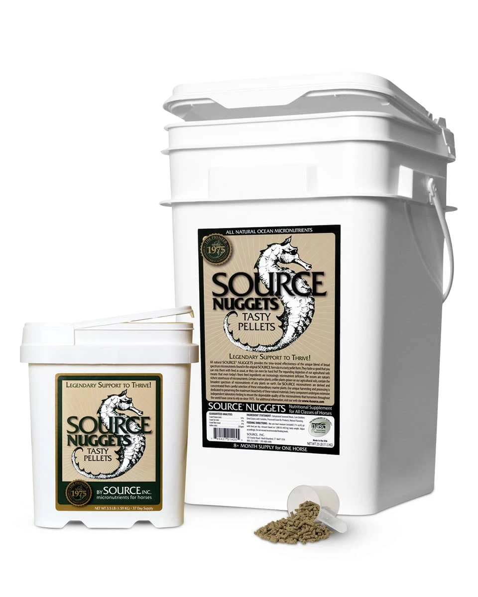 Source Nuggets Skin, Coat, And Hoof Care Pellets Horse Supplement 1 Source Nuggets Skin, Coat, And Hoof Care Pellets Horse Supplement