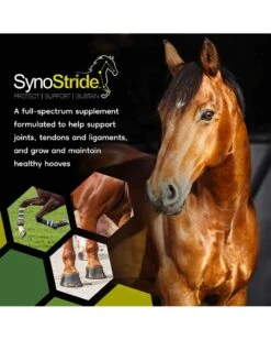 SynNutra SynoStride 6 SynNutra SynoStride -Horse Care Supplies Store SynNutra SynoStride media 3